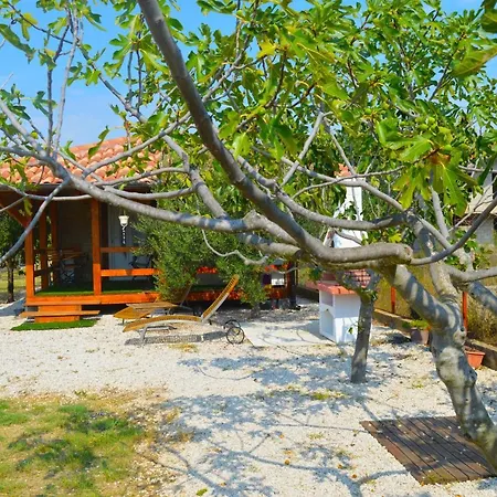 Luka Biograd - Daire