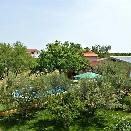 Daire Luka Biograd - *