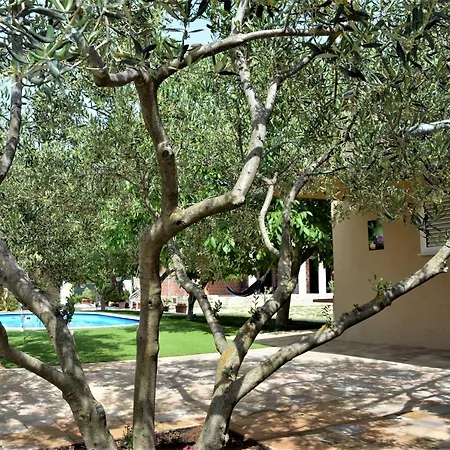 Luka Biograd - Apartman Benkovac