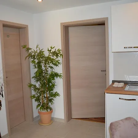 Daire Luka Biograd -