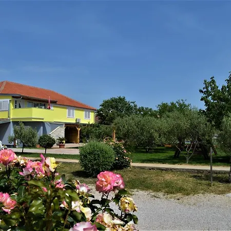 Luka Biograd -