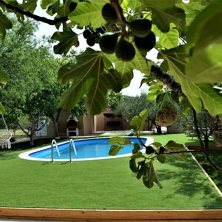 Luka Biograd - Daire Benkovac