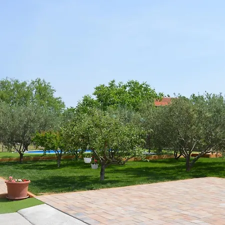 Daire Luka Biograd -