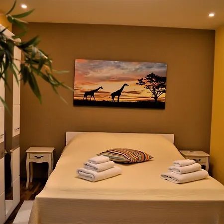 Luka Biograd -