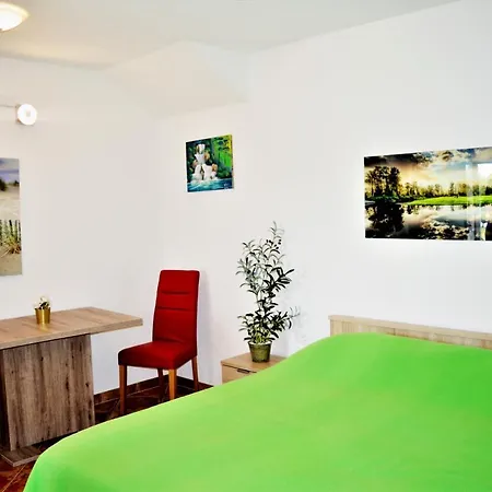 Apartman Luka Biograd - *