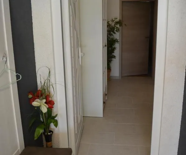 Luka Biograd - * 벤코바츠