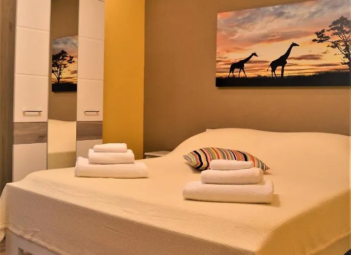 Luka Biograd - * 벤코바츠